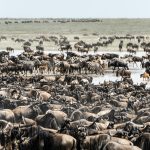 pexels-hugosykes-15815060