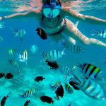 snorkeling-on-zanzibar